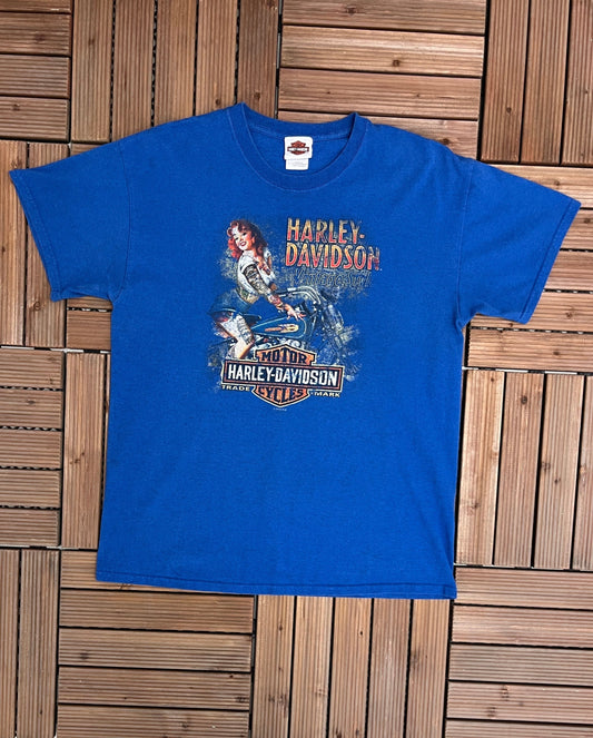 Harley Davidson Jamestown, New York Graphic Tee | Size Large | Vintage 2000s Biker Motorcycle Blue T-Shirt | Free Shipping to USA |