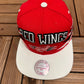 Detroit Red Wings Embroidered Hat | Adjustable With Snap Back | Vintage 2000s NHL Hockey Mitchell & Ness Baseball Cap |Free Shipping to USA|