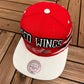 Detroit Red Wings Embroidered Hat | Adjustable With Snap Back | Vintage 2000s NHL Hockey Mitchell & Ness Baseball Cap |Free Shipping to USA|