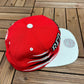 Detroit Red Wings Embroidered Hat | Adjustable With Snap Back | Vintage 2000s NHL Hockey Mitchell & Ness Baseball Cap |Free Shipping to USA|