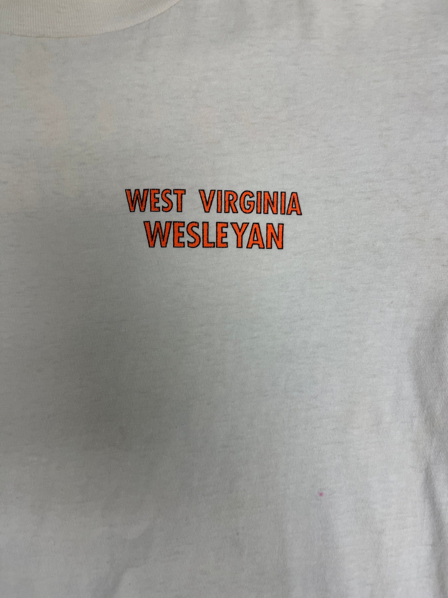 West Virginia Wesleyan Greeks Do It With Their Brothers and Sisters Graphic Tee | Size XL |Vintage 1990s White T-Shirt|Free Shipping to USA|