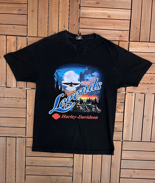 Harley Davidson Grand Canyon, Arizona Graphic Tee | Size Large | Vintage 2000s Biker Motorcycle Black T-Shirt | Free Shipping to USA |