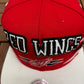 Detroit Red Wings Embroidered Hat | Adjustable With Snap Back | Vintage 2000s NHL Hockey Mitchell & Ness Baseball Cap |Free Shipping to USA|