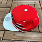 Detroit Red Wings Embroidered Hat | Adjustable With Snap Back | Vintage 2000s NHL Hockey Mitchell & Ness Baseball Cap |Free Shipping to USA|